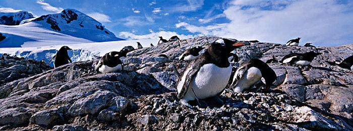 《塞尔达无双：封印战记》成光荣3A工作室首个游戏